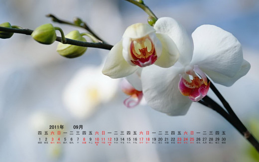 537997 (a): :1920x1200
